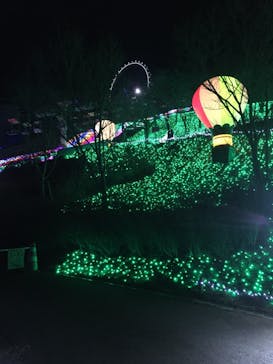 さがみ湖MORI MORIに投稿された画像（2021/1/11）