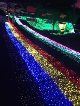 さがみ湖MORI MORIに投稿された画像（2021/1/11）