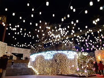 ひらかたパークに投稿された画像（2021/1/11）