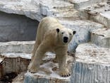 天王寺動物園に投稿された画像（2021/1/11）