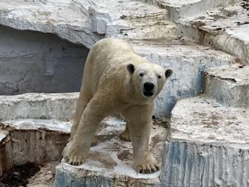 天王寺動物園に投稿された画像（2021/1/11）