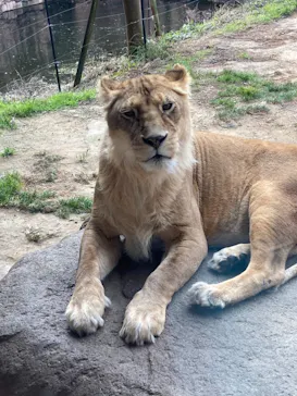 天王寺動物園に投稿された画像（2021/1/11）