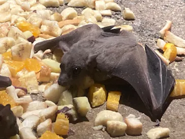 天王寺動物園に投稿された画像（2021/1/11）