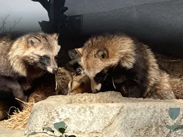 天王寺動物園に投稿された画像（2021/1/11）
