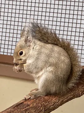 天王寺動物園に投稿された画像（2021/1/11）