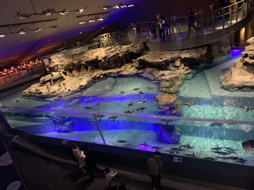 すみだ水族館に投稿された画像（2021/1/11）