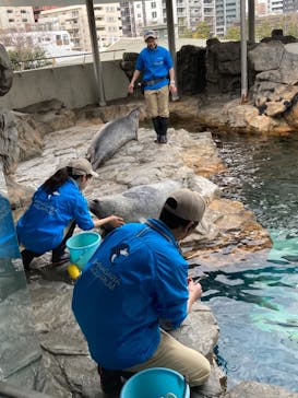 しながわ水族館に投稿された画像（2021/1/11）
