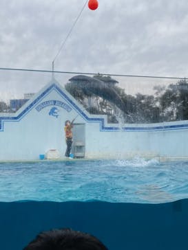 しながわ水族館に投稿された画像（2021/1/11）