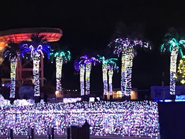 よみうりランド 遊園地に投稿された画像（2021/1/11）