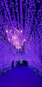 江の島シーキャンドルに投稿された画像（2021/1/12）