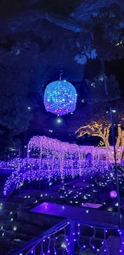 江の島シーキャンドルに投稿された画像（2021/1/12）