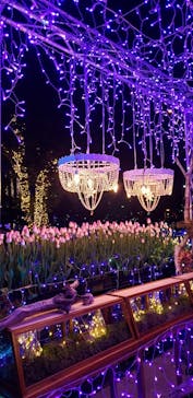 江の島シーキャンドルに投稿された画像（2021/1/12）