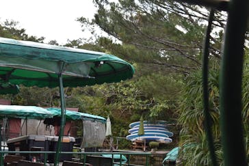 ビオスの丘に投稿された画像（2021/1/12）