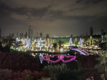 美らヤシパークオキナワ・東南植物楽園に投稿された画像（2021/1/13）