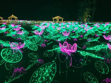 美らヤシパークオキナワ・東南植物楽園に投稿された画像（2021/1/13）