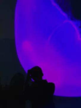 すみだ水族館に投稿された画像（2021/1/13）