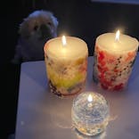 ずこうしつ〜sugamo〜に投稿された画像（2021/1/13）