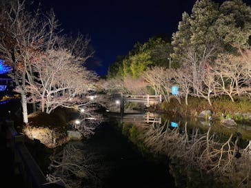 なばなの里に投稿された画像（2021/1/13）