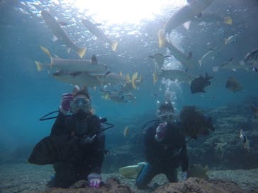 武藤潜水に投稿された画像（2021/1/14）