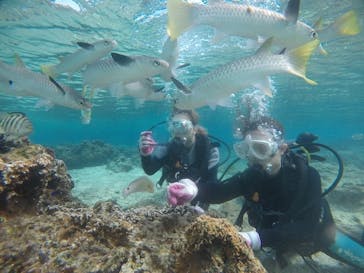 武藤潜水に投稿された画像（2021/1/14）