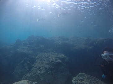 武藤潜水に投稿された画像（2021/1/14）