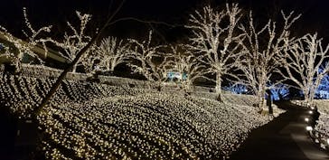 NESTA RESORT KOBE（ネスタリゾート神戸）に投稿された画像（2021/1/14）