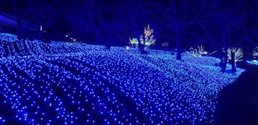 NESTA RESORT KOBE（ネスタリゾート神戸）に投稿された画像（2021/1/14）