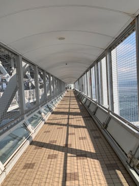 徳島県立 渦の道に投稿された画像（2021/1/14）