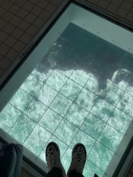 徳島県立 渦の道に投稿された画像（2021/1/14）