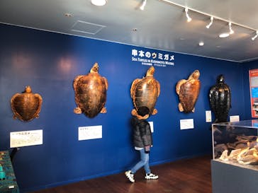 串本海中公園水族館に投稿された画像（2021/1/14）