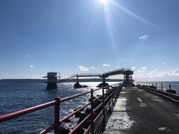 串本海中公園水族館に投稿された画像（2021/1/14）