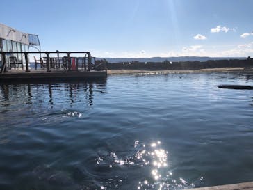 串本海中公園水族館に投稿された画像（2021/1/14）