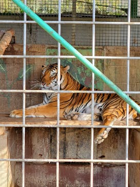 しろとり動物園に投稿された画像（2021/1/15）