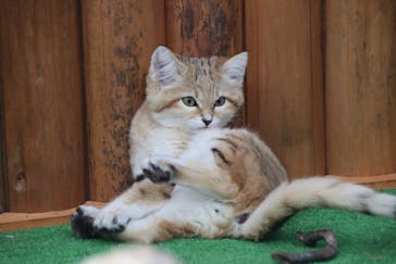 神戸どうぶつ王国に投稿された画像（2021/1/15）