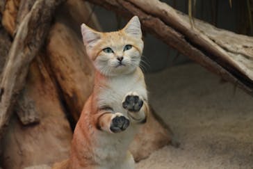 神戸どうぶつ王国に投稿された画像（2021/1/15）