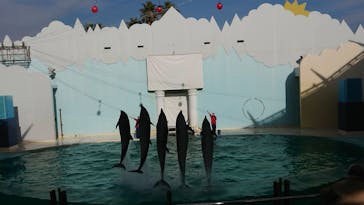 株式会社Gに投稿された画像（2021/1/15）