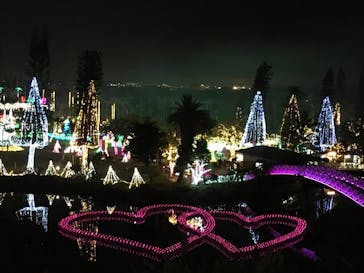 美らヤシパークオキナワ・東南植物楽園に投稿された画像（2021/1/15）