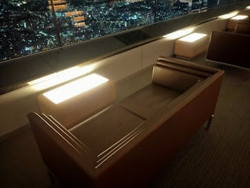 横浜ランドマークタワー 69階展望フロア スカイガーデンに投稿された画像（2021/1/15）