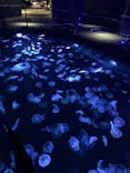 すみだ水族館に投稿された画像（2021/1/15）