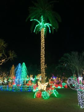 美らヤシパークオキナワ・東南植物楽園に投稿された画像（2021/1/16）