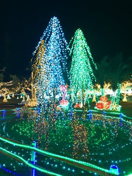 美らヤシパークオキナワ・東南植物楽園に投稿された画像（2021/1/16）