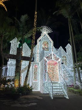 美らヤシパークオキナワ・東南植物楽園に投稿された画像（2021/1/16）