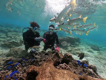 DIVING-SHOP SUNSに投稿された画像（2021/1/16）