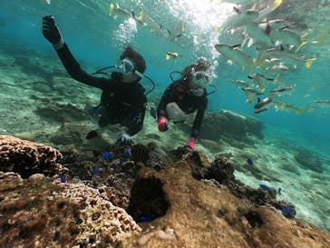 DIVING-SHOP SUNSに投稿された画像（2021/1/16）