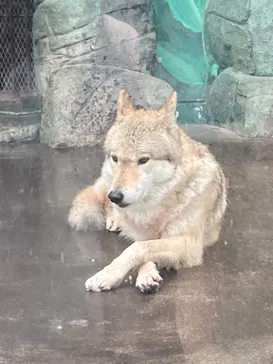 天王寺動物園に投稿された画像（2021/1/16）