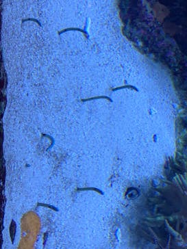 サンシャイン水族館に投稿された画像（2021/1/16）