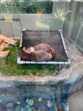 サンシャイン水族館に投稿された画像（2021/1/16）