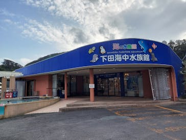 下田海中水族館に投稿された画像（2021/1/16）