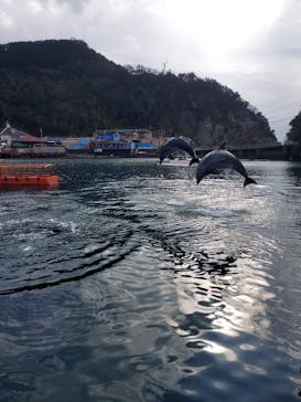 下田海中水族館に投稿された画像（2021/1/16）