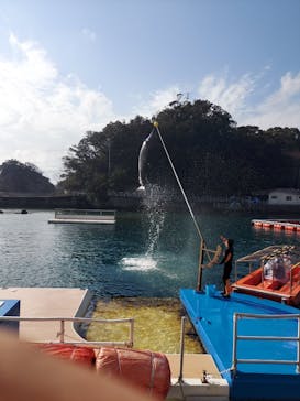 下田海中水族館に投稿された画像（2021/1/16）